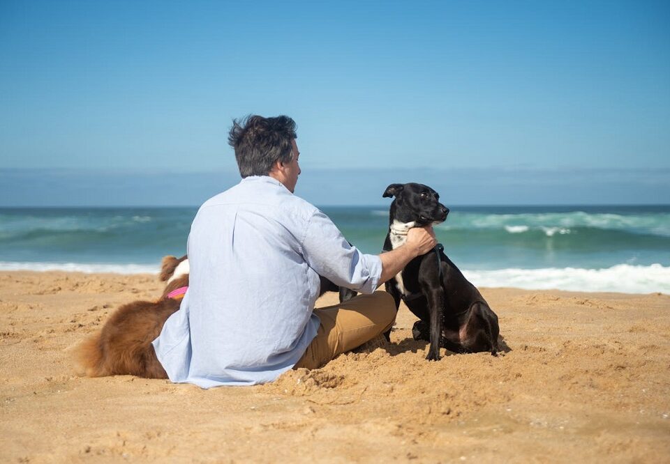 vacanze con animali ammessi